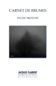 Carnet de brumes