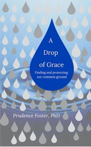 A Drop of Grace:  Finding and Protecting our Common Ground