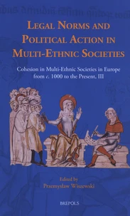 Legal Norms and Political Action in Multi-Ethnic Societies
