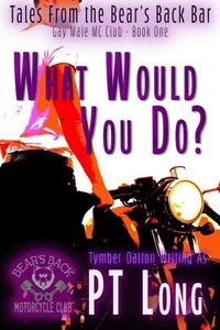 Tales From the Bear's Back Bar: What Would You Do?: Gay Male MC Club