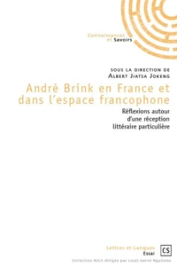 André Brink en France et dans l'espace francophone