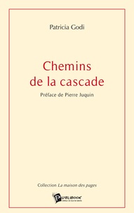 Patricia Godi - Chemins de la cascade.