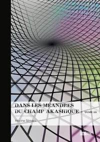 Dans les méandres du champ akashique - Tome 3