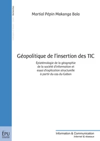 Géopolitique de l'insertion des TIC