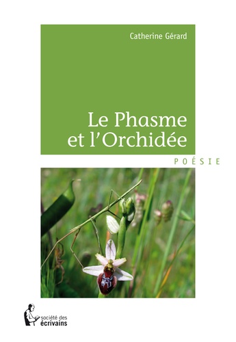 Le phasme et l'orchidée