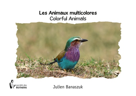 Les animaux multicolores