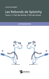 Les rebonds de Splotchy