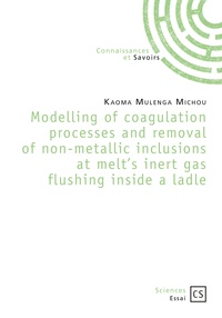 Kaoma Mulenga Michou - Modelling of coagulation processes and removal of non-metallic inclusions at melt's inert gas flushing inside a ladle.