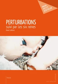Perturbations