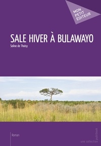 Soline de Thoisy - Sale hiver à Bulawayo.