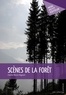 Chantal Messin-Magnard - Scènes de la forêt.