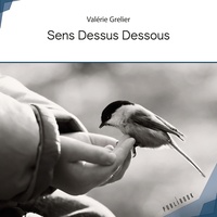 Valérie Grelier - Sens Dessus Dessous.