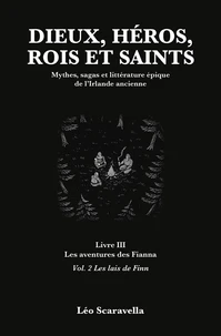 Dieux, héros, rois et saints - Mythes, sagas et littérature épique de l'Irlande ancienne