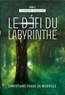 Christiane Couve de Murville - La caverne cristalline Tome 2 : Le défi du labyrinthe.