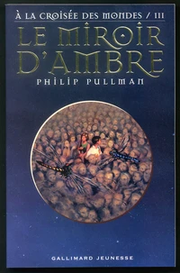 Le Miroir d'Ambre