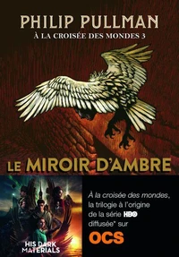 Le Miroir d'ambre