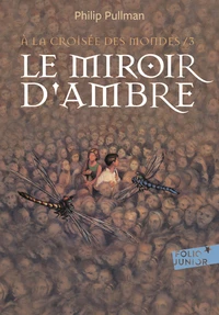 Le miroir d'ambre