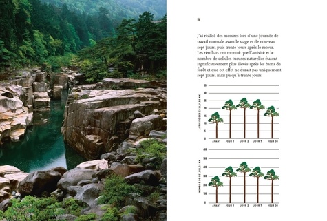 Shinrin Yoku. L'art et la science du bain de forêt