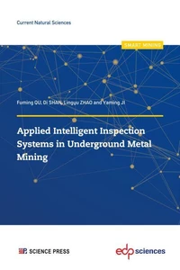 Applied Intelligent Inspection Systems in Underground Metal Mining
