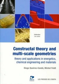 Constructal theory and multi-scale geometries