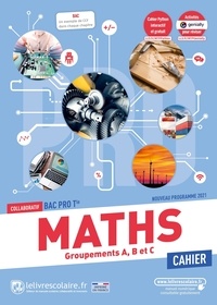 Quentin Cros - Maths Tle Bac Pro - Cahier d'activités.