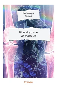 Itinéraire d'une vie morcelée