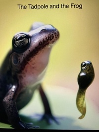  Quicksilver - The Tadpole and the Frog.
