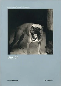 Baylon