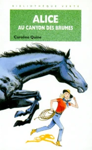 Alice au canyon des Brumes