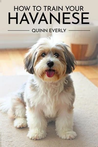 How to Train Your Havanese