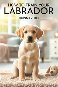 How to Train Your Labrador