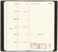 Agenda 2018 Italnote Soho 8,8*17 sem/1p+notes rouge dali