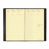 Agenda 2017 Planning 16 S Impala 9*16 sem/2p assorti