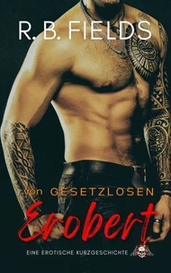 Von Gesetzlosen Erobert: Eine Erotische Kurzgeschichte