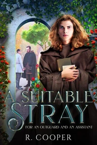 A Suitable Stray (For an Outguard and an Assistant)