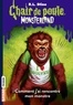 R. L. Stine - Chair de poule - Monsterland Tome 3 : Comment j'ai rencontré mon monstre.