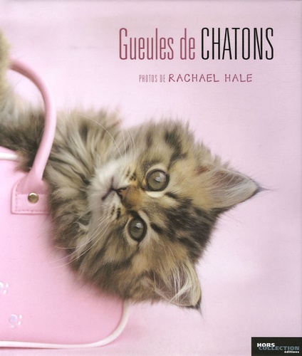 Rachael Hale - Gueules de chatons.