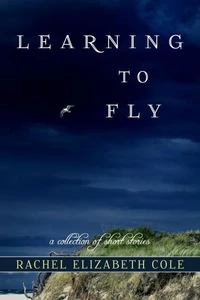 Learning to Fly