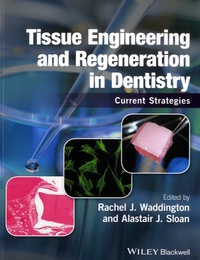 Rachel J. Waddington et Alastair J. Sloan - Tissue Engineering and Regeneration in Dentistry - Current Strategies.