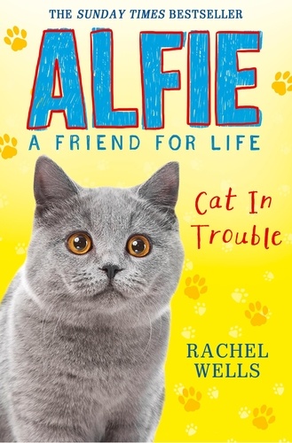 Rachel Wells - Alfie Cat In Trouble.