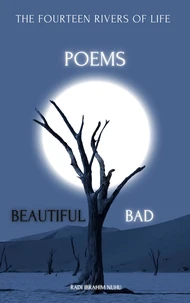 Beautiful Bad