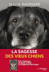 La sagesse des vieux chiens