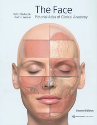 The face