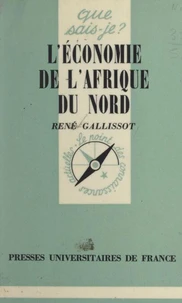 The Curious Fox's Journey