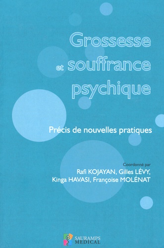 Rafi Kojayan et Gilles Lévy - Grossesse et souffrance psychique - Précis de nouvelles pratiques.