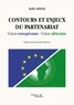 Rafik Ammar - Contours et enjeux du partenariat Union européenne-Union africaine.