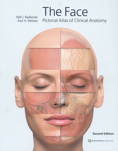 The face. Pictorial Atlas of Clinical Anatomy 2nd edition