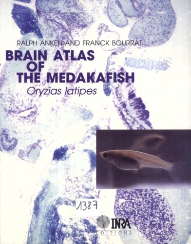 Ralph Anken et Franck Bourrat - Brain atlas of the mekadafish.