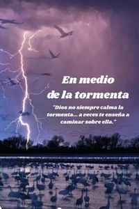 En medio de la tormenta
