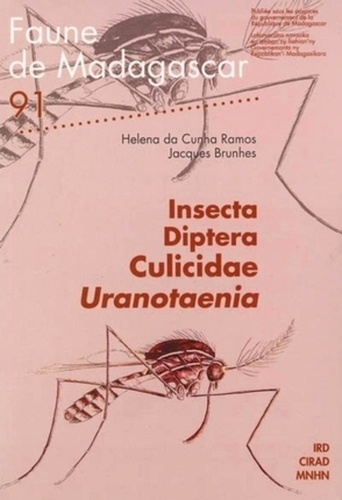 Insecta Diptera Culicidae Uranotaenia